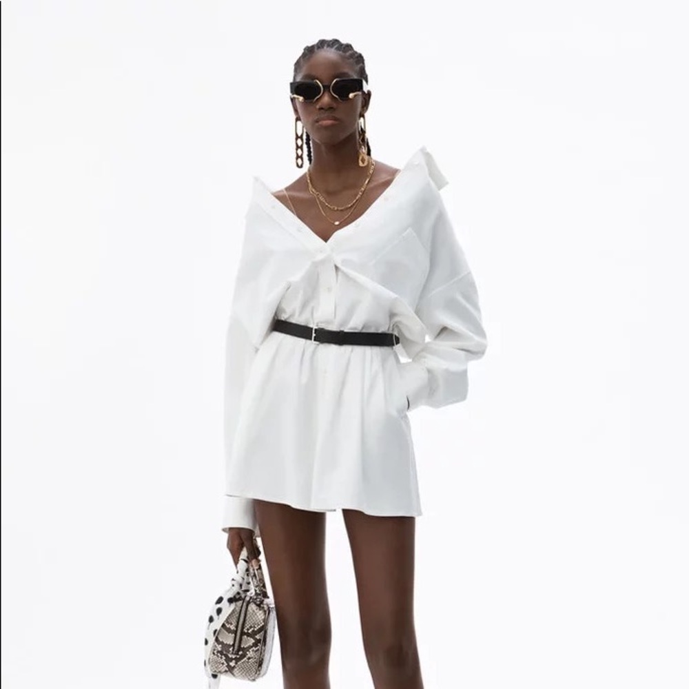 Alexander wang shirt dress